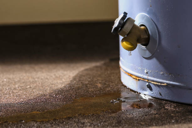 Best Flood damage cleanup  in Green Meadows, OH