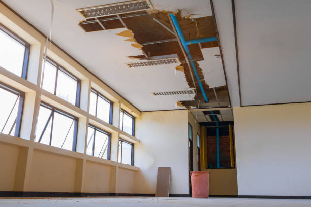 Best Local water damage restoration  in Green Meadows, OH