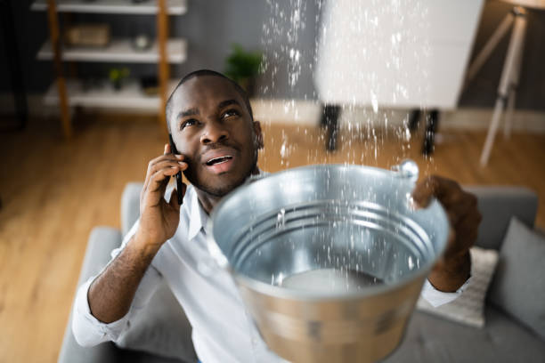 Best Residential water damage restoration  in Green Meadows, OH