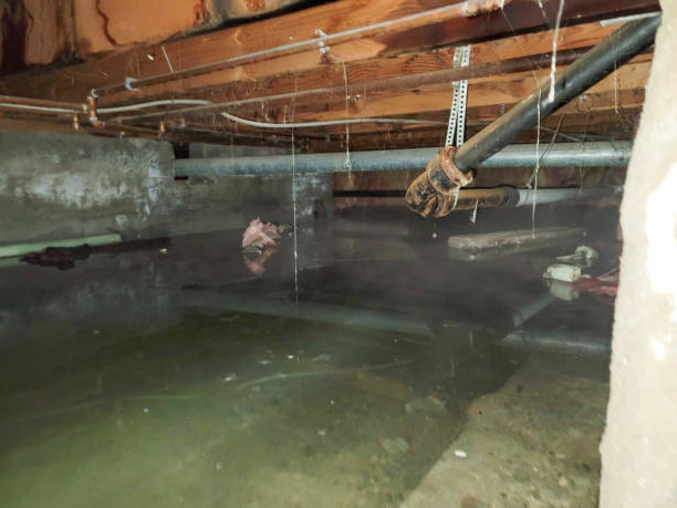 Best Water damage restoration near me  in Green Meadows, OH