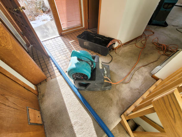 Best Sewage cleanup and water damage restoration  in Green Meadows, OH