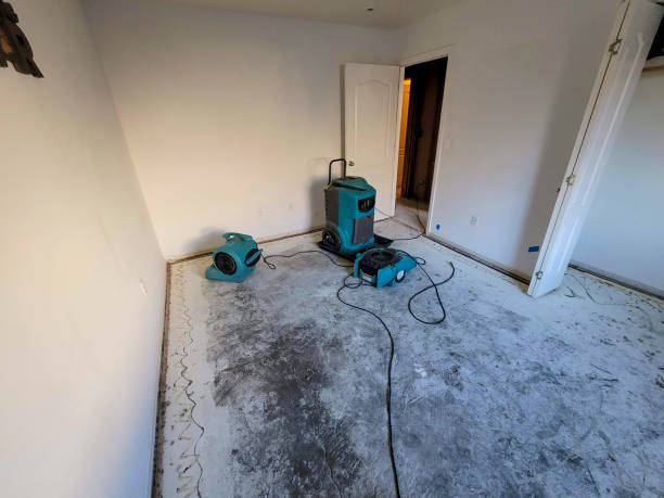Best Flood restoration services  in Green Meadows, OH