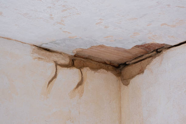 Best 24-hour water damage restoration  in Green Meadows, OH