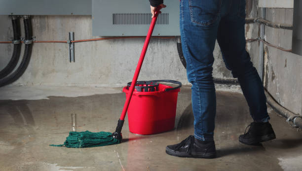 Best Water damage restoration services  in Green Meadows, OH
