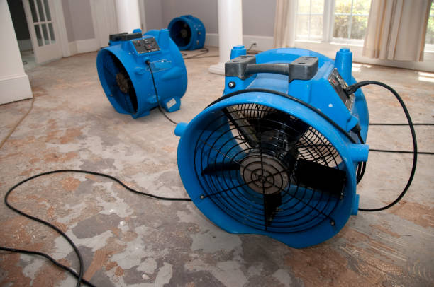 Best Water damage restoration near me  in Green Meadows, OH