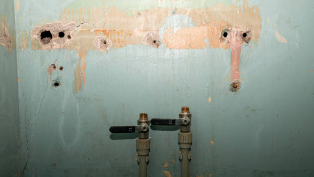 Carpet water damage restoration in Green Meadows, OH