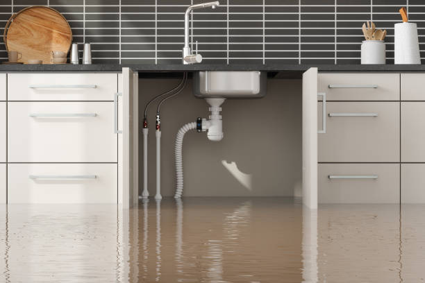 Best Flood restoration services  in Green Meadows, OH