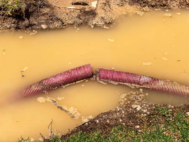 Best Water damage restoration company  in Green Meadows, OH