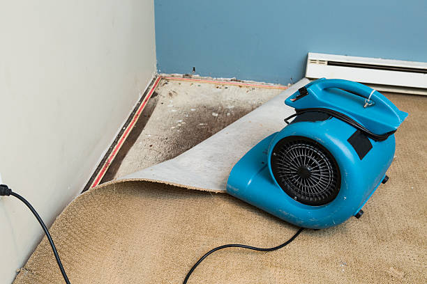 Best Water damage contractors near me  in Green Meadows, OH