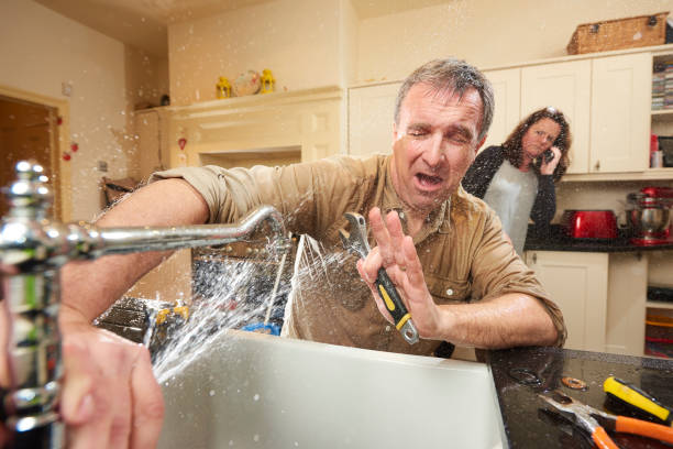 Best Mold removal after water damage  in Green Meadows, OH